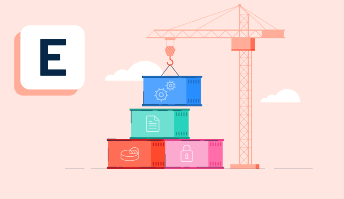 Enterprise Resource Planning (ERP)