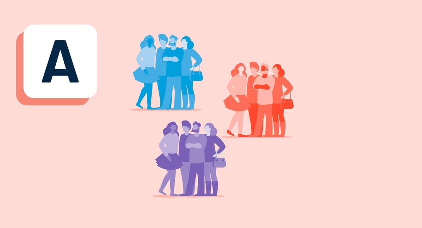 Audience Segmentation