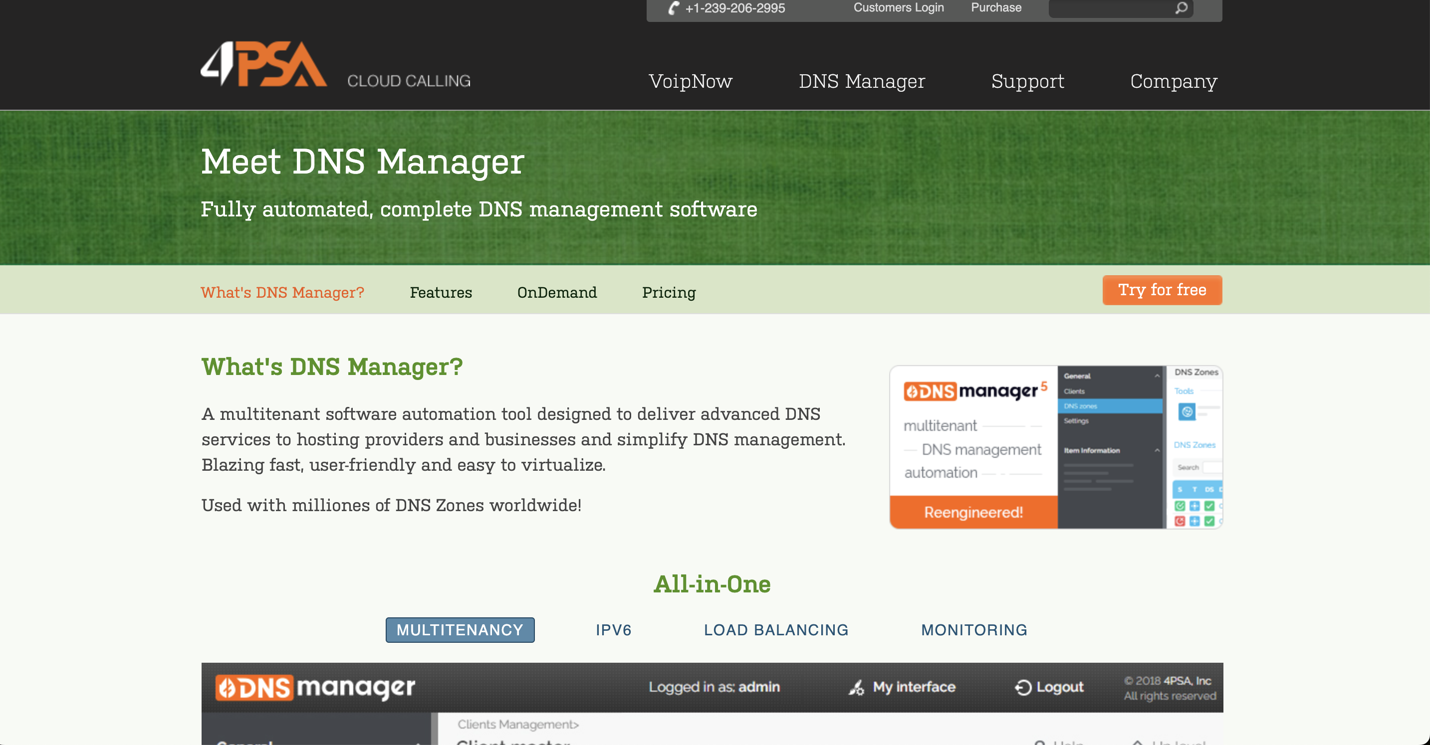 dns manager
