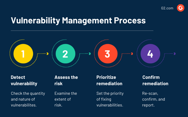 Vulnerability management process