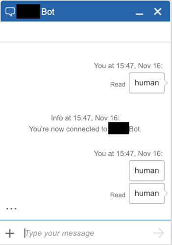 chatbot interface