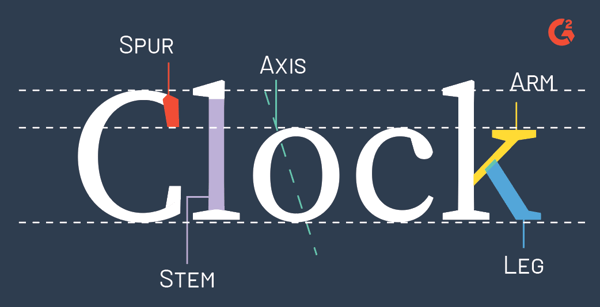 typographic anatomy