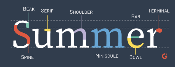 typography anatomy