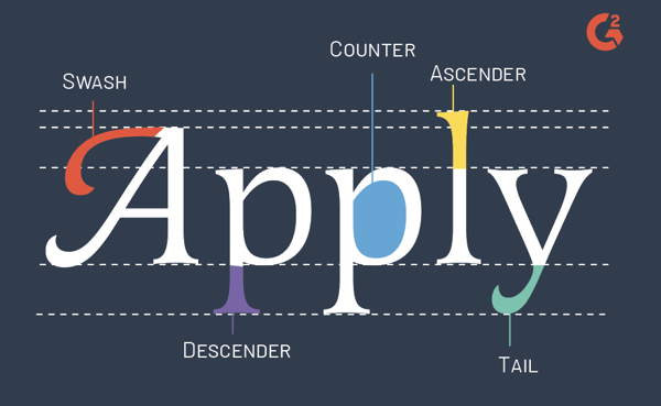 typography anatomy