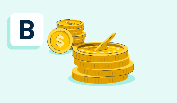 budget period