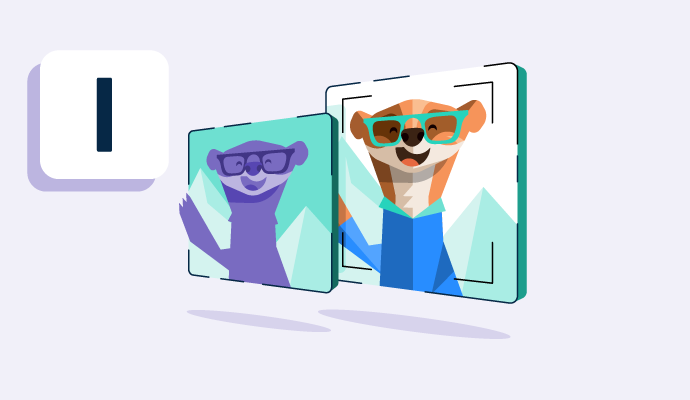 image segmentation